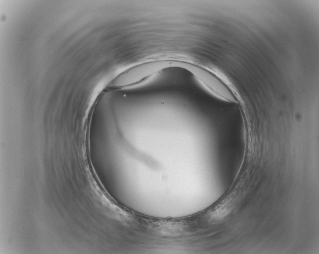 X0000054441102200508270006