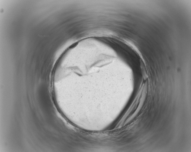 X0000054441103200508270006