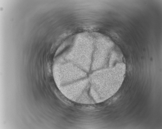 X0000054441106200508270005