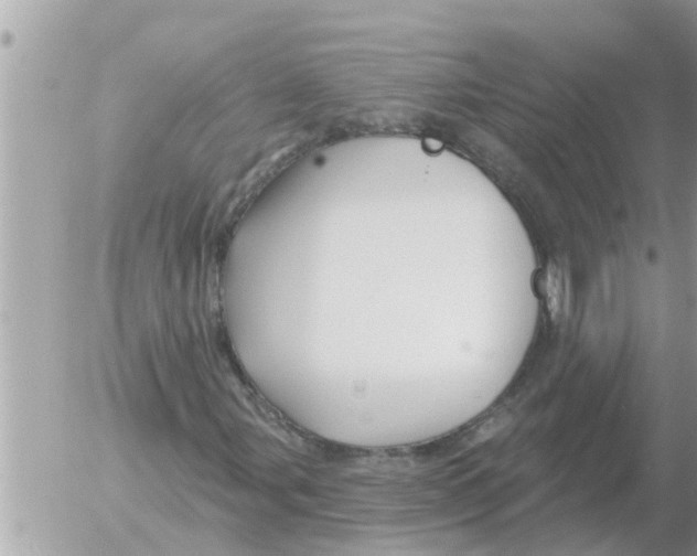 X0000054441107200508270005