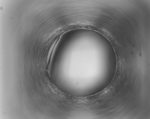 X0000054441110200508270005