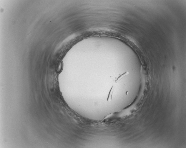 X0000054441111200508270005