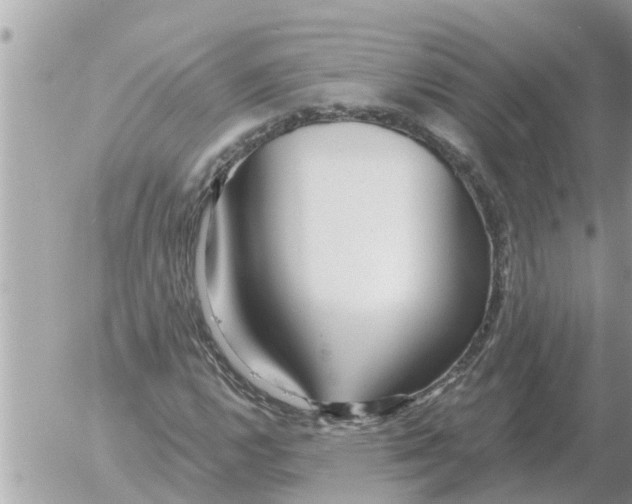 X0000054441112200508270005