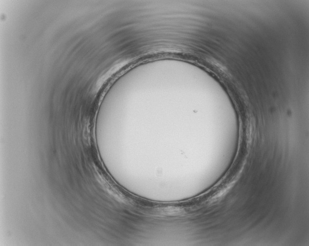 X0000054441113200508270005