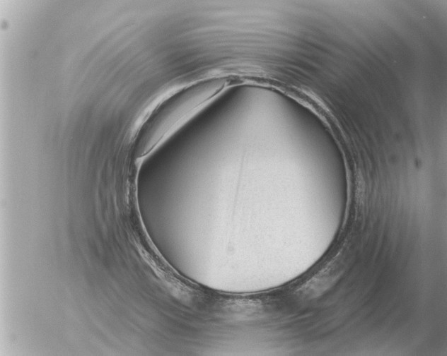 X0000054441115200508270005