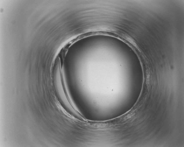 X0000054441116200508270005