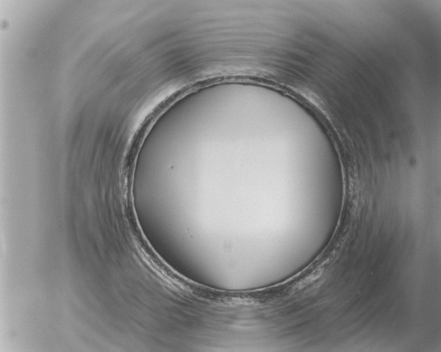 X0000054441119200508270006