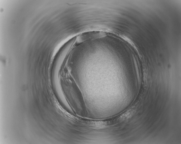 X0000054441120200508270006