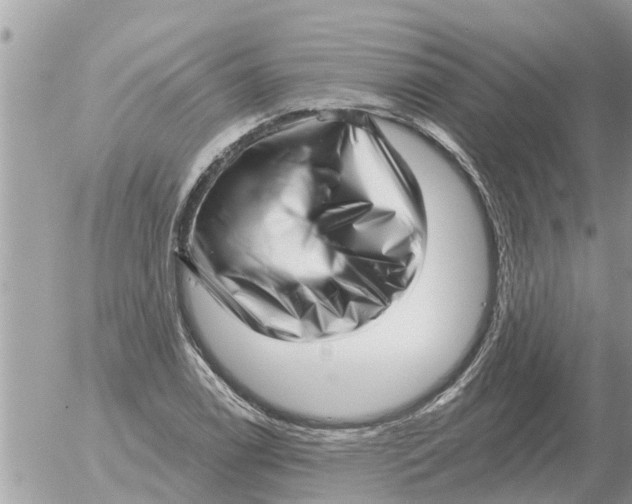 X0000054441122200508270006