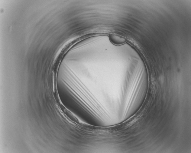 X0000054441123200508270006