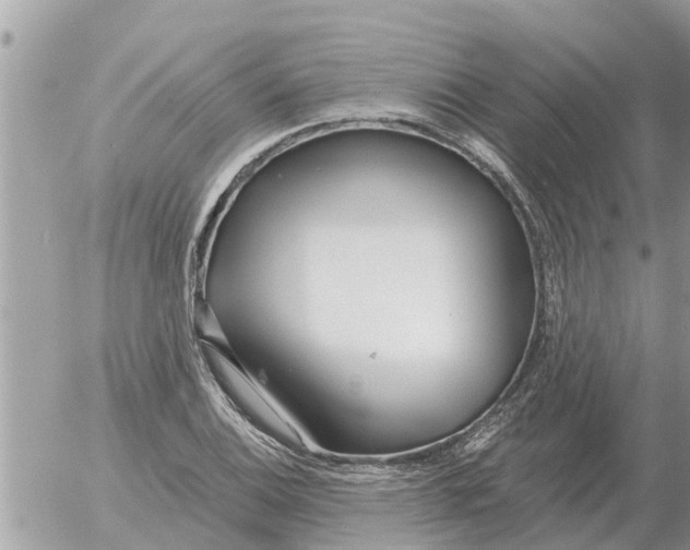 X0000054441124200508270006