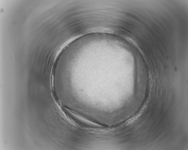 X0000054441125200508270006