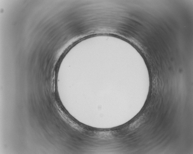 X0000054441126200508270006