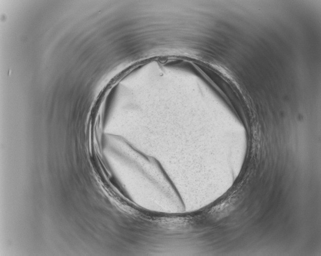 X0000054441127200508270006