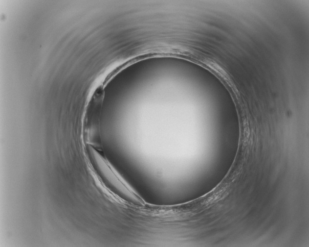 X0000054441128200508270006