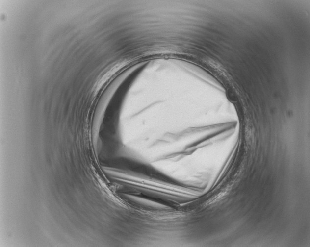 X0000054441129200508270006