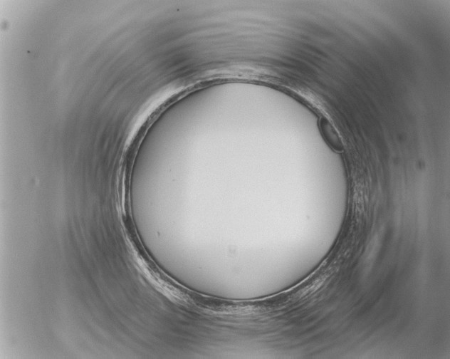 X0000054441131200508270006