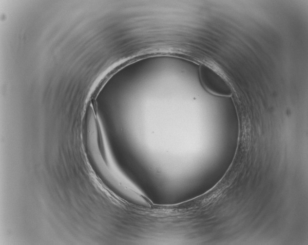 X0000054441132200508270006