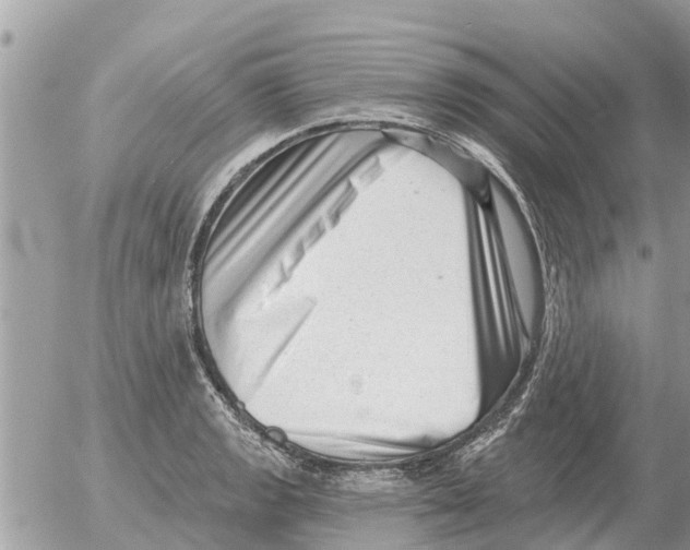 X0000054441133200508270006