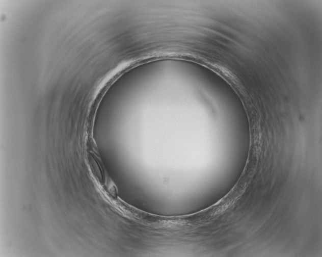 X0000054441134200508270006