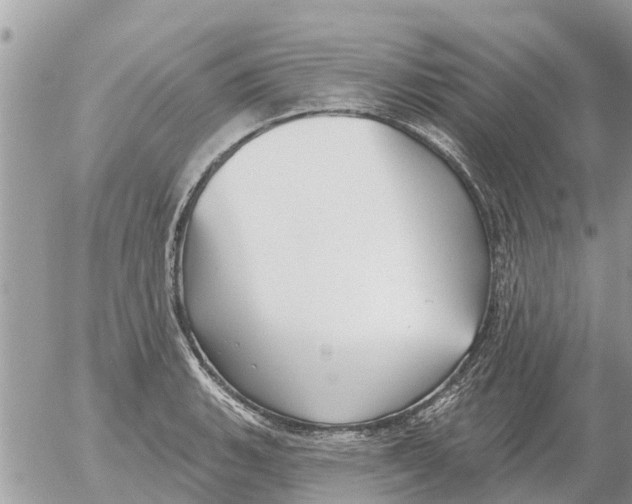 X0000054441135200508270006