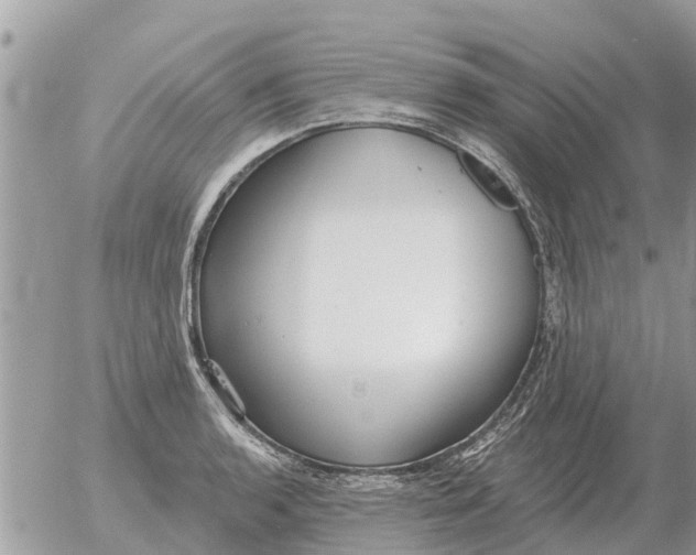 X0000054441136200508270006