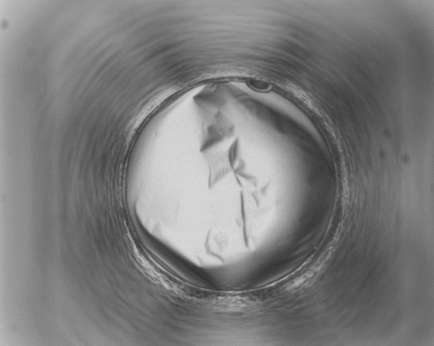 X0000054441137200508270006