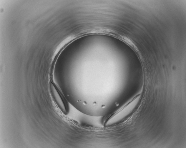 X0000054441138200508270006