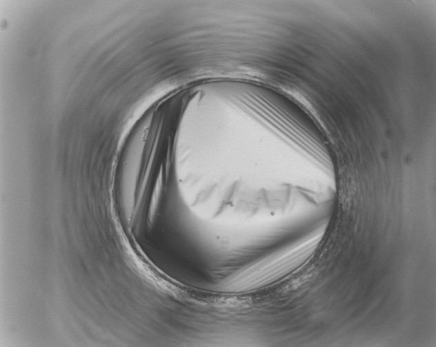 X0000054441139200508270006