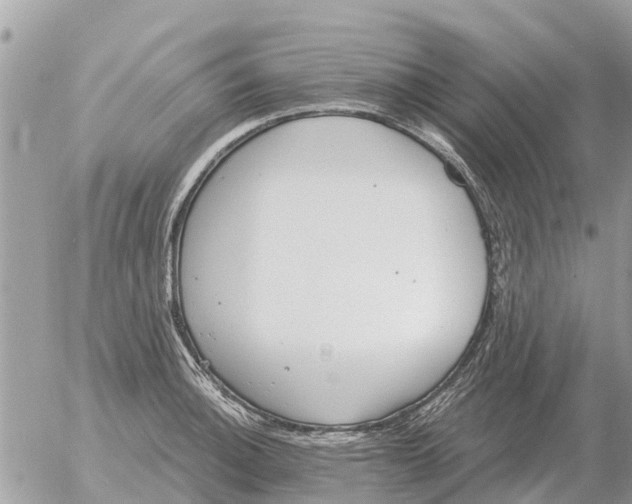 X0000054441140200508270006