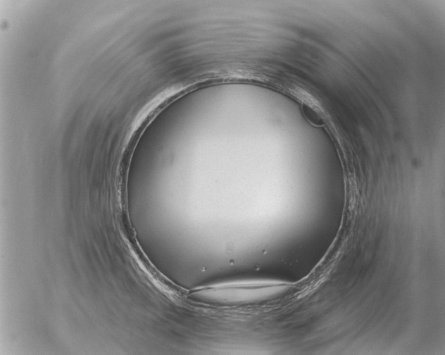 X0000054441141200508270006