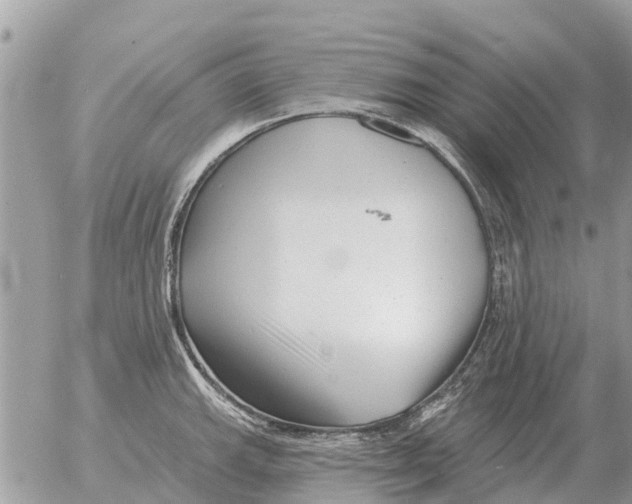 X0000054441143200508270006