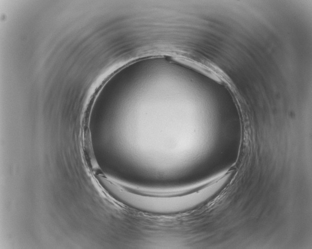 X0000054441144200508270006