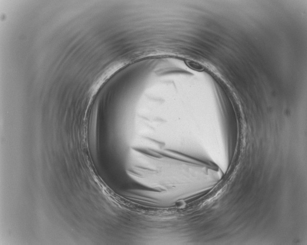 X0000054441145200508270006