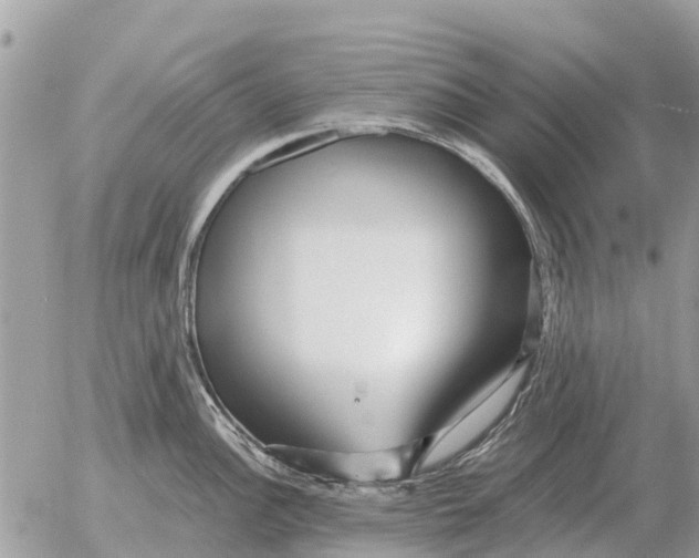 X0000054441148200508270006