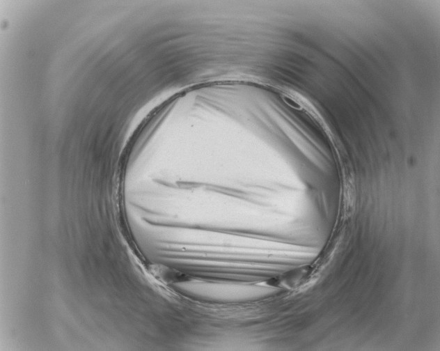 X0000054441149200508270006