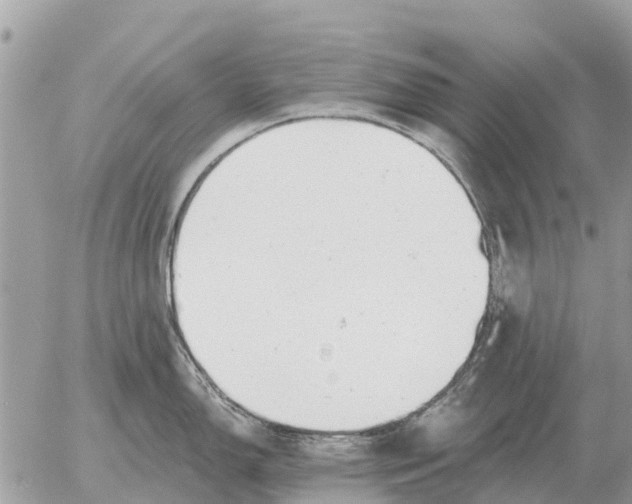 X0000054441150200508270006