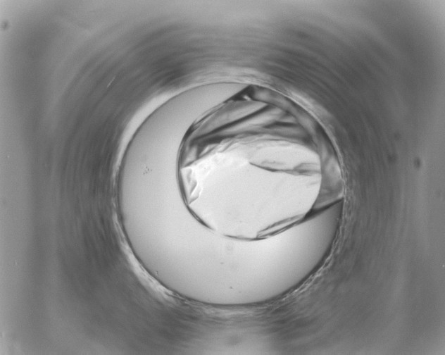 X0000054441152200508270006