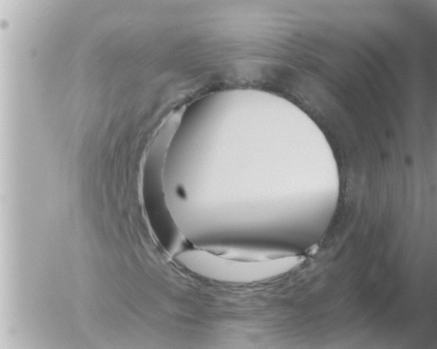 X0000054441153200508270005