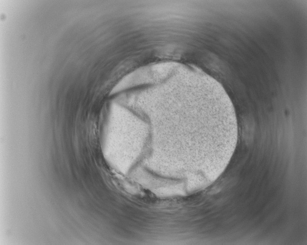 X0000054441154200508270005