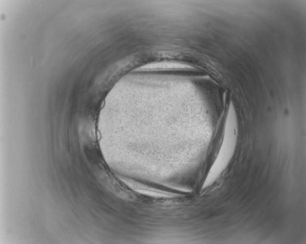 X0000054441155200508270005