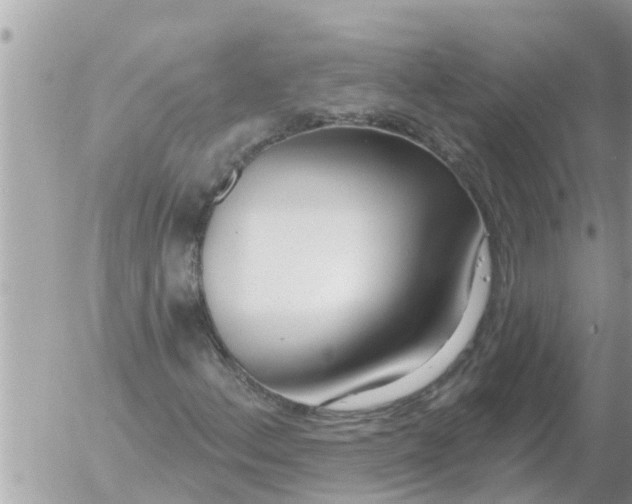 X0000054441156200508270005