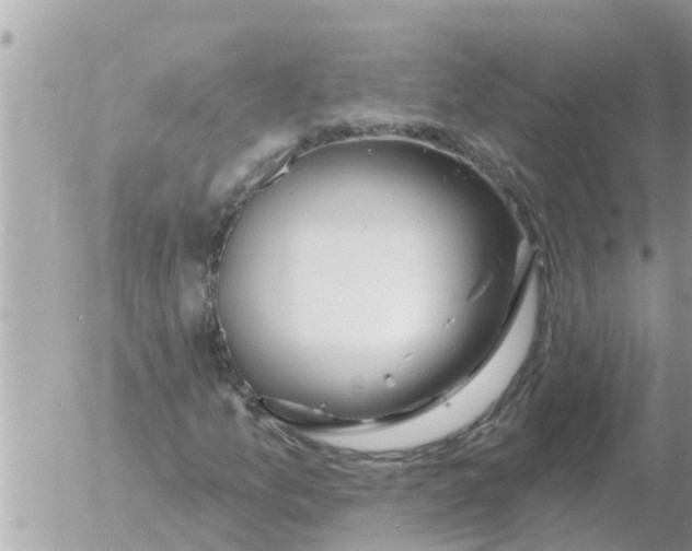 X0000054441157200508270005