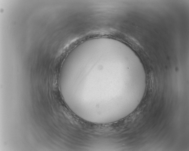 X0000054441158200508270005