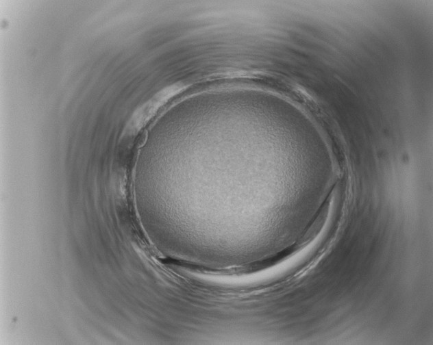 X0000054441161200508270005