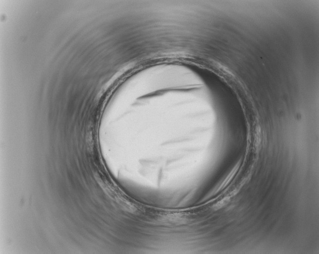 X0000054441162200508270005