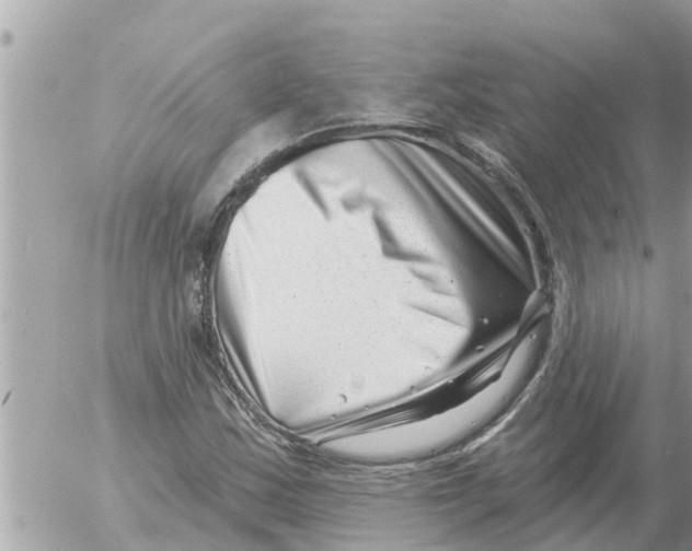 X0000054441163200508270005