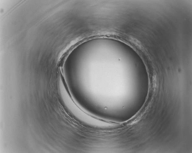 X0000054441165200508270005