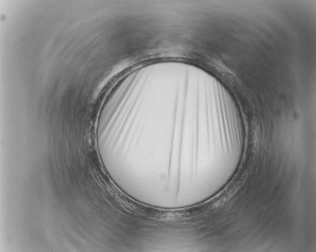 X0000054441166200508270005