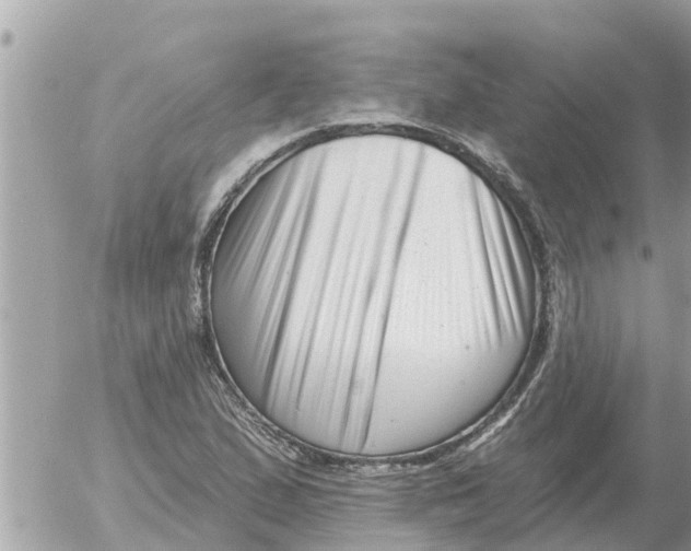 X0000054441167200508270005